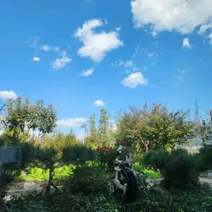 바자라 리뷰 사진