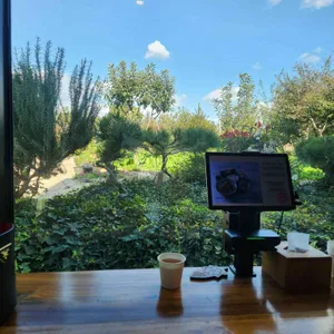 바자라 리뷰 사진