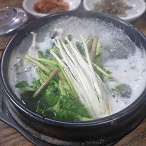 원조벌나무복국 사진