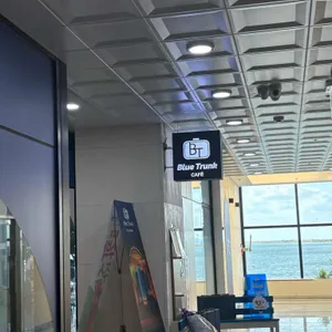 블루트렁크 대표 사진