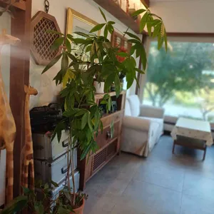 어서 이곳 리뷰 사진