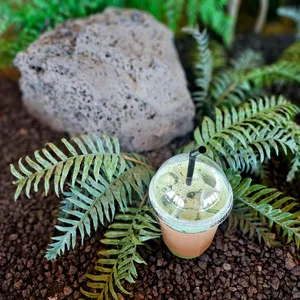 목탁봉 전망대카페 사진