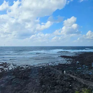 해지개 리뷰 사진