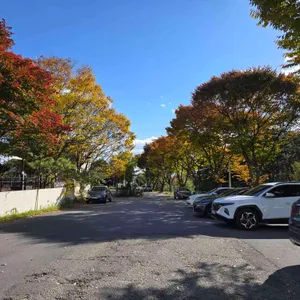 소풍 리뷰 사진