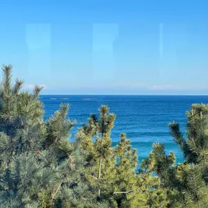 바다정원 리뷰 사진