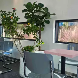 문그로우 리뷰 사진