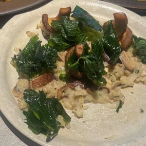 심퍼티쿠시 사진