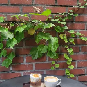 브라운헤이븐 사진 1