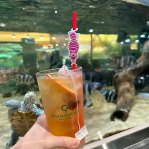 아쿠아가든카페 사진