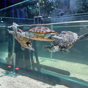 아쿠아가든카페 리뷰 사진