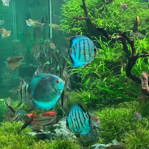 아쿠아가든카페 리뷰 사진