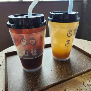 애코랜드 리뷰 사진