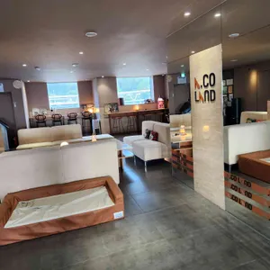 애코랜드 리뷰 사진