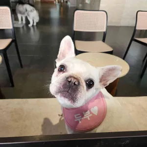 애코랜드 대표 사진