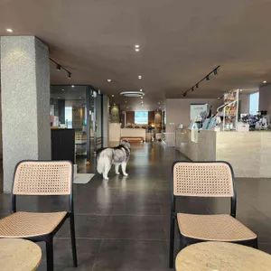 애코랜드 리뷰 사진