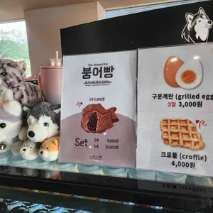 애코랜드 리뷰 사진