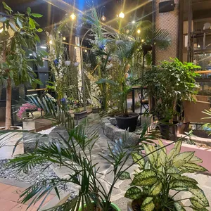 오베르 리뷰 사진