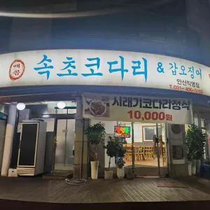 속초코다리&갑오징어 대표 사진