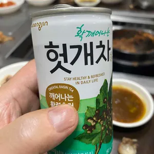 부일갈매기 사진