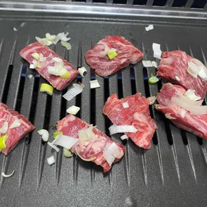 부일갈매기 사진