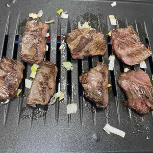 부일갈매기 사진