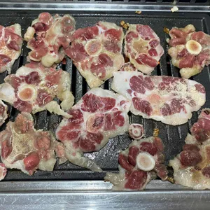 부일갈매기 사진