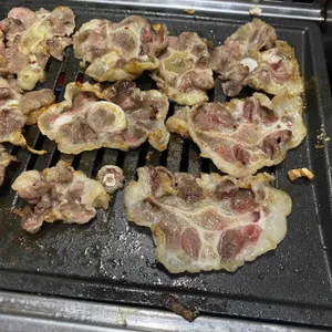 부일갈매기 사진