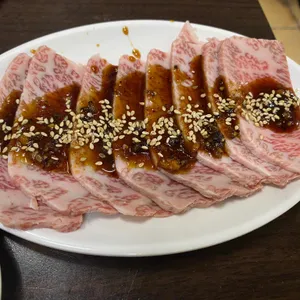 부일갈매기 사진