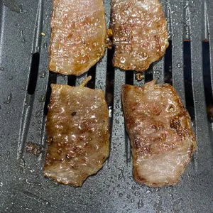 부일갈매기 사진