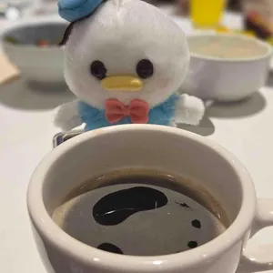 애슐리퀸즈 사진