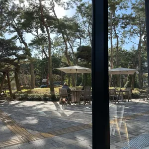 스타벅스 리뷰 사진