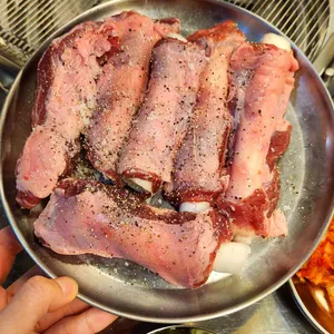 탄천갈매기 사진 1