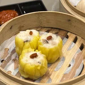 팀호완 대표 사진