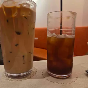 노블리비아 사진