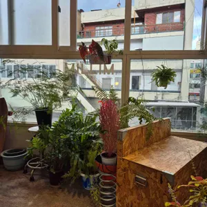 밀림 리뷰 사진