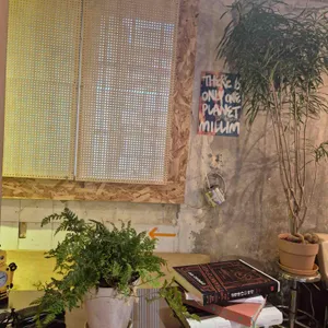 밀림 리뷰 사진