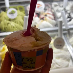 젤라떼리아 사진