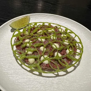 바리에가타 사진