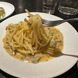 바리에가타 사진