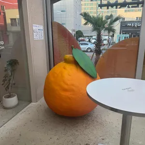 귤메달 하우스 리뷰 사진