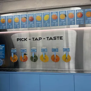 귤메달 하우스 리뷰 사진