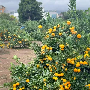 유지 커피웍스 리뷰 사진