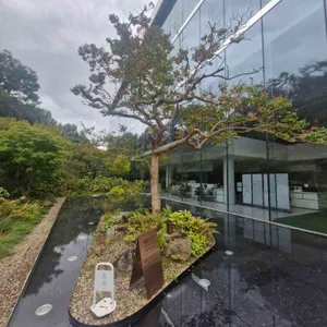 아나키아 사진 1