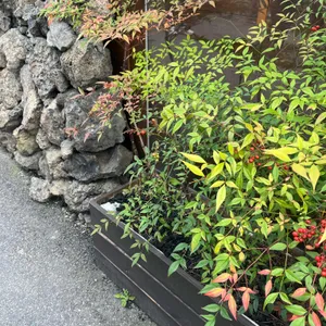 라인익선 리뷰 사진