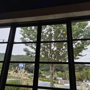 그린프로그 리뷰 사진