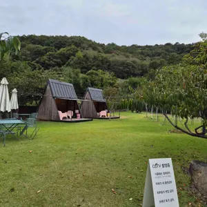 그린프로그 리뷰 사진