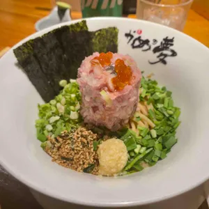 거북이의 꿈 사진