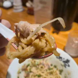 거북이의 꿈 사진