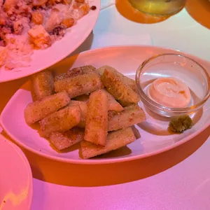 오사카고양이 사진