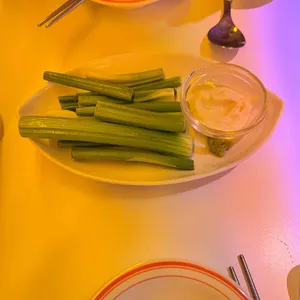 오사카고양이 사진